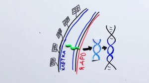 Научпок - Можно ли хакнуть твой мозг