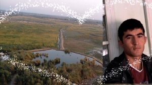 Зулайхо Бойхонова -  олча гули (olcha guli)