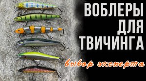 Воблеры для твичинга. Выбор эксперта