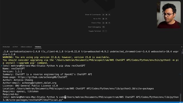 Get Access to the FREE ChatGPT API with Python смотреть онлайн