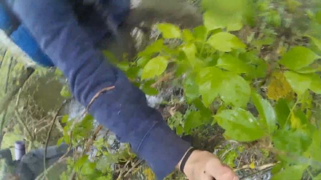 Поход Александрийский район Кировоградская обл смотреть онлайн