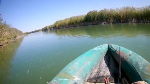 Ловля змееголова в дельте  реки Или. Часть 1 .