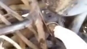 Чистка радиатора печки на опель астра ф.