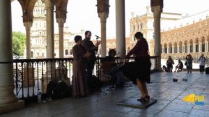 Tablao de Arte Flamenco espontáneo en Plaza de España. Sevilla, cuna universal del Flamenco