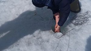 ловим камчатского краба со льда, 7.04.2022