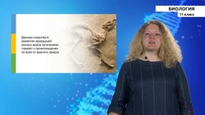 11-класс | Биология | Движущие силы эволюции. Макро- и микроэволюция