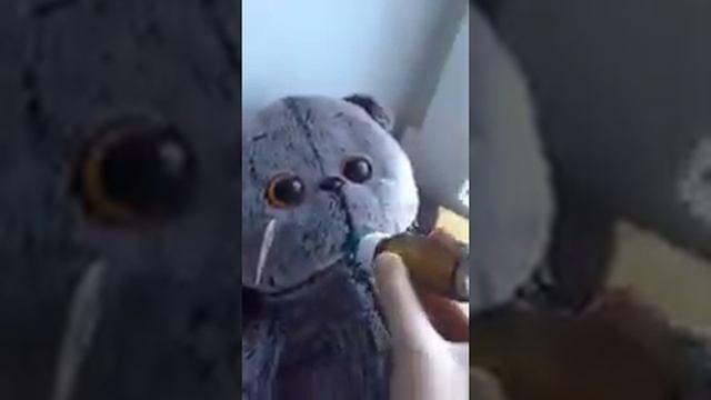 Вечерний ??? сон. Укладываю спать Басюна смотреть онлайн