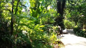 Khao Lak Paradise Resort