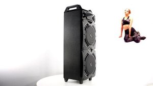Колонки Dialog Oscar AO-220 (100W, SD, USB, Bluetooth, FM, ПДУ) #1