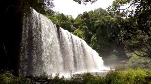 Амазонский эмбиент. Amazonian ambient. Ambiente amazónico.