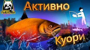 RF4 ОЧЕНЬ АКТИВНЫЕ РЫБКИ БЕСПРЕРЫВНО #рр4