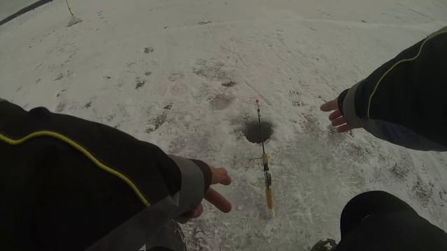 Ловля корюшки 19.03#Закрытие сезона#Финский залив#Лужская губа#Вистино#Попали на жор корюшки смотреть онлайн