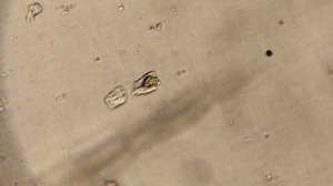 Мощный микроскоп своими руками(часть 2)