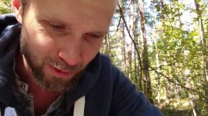 Поехал в лес за грибами. за Спирино, Новосибирск.