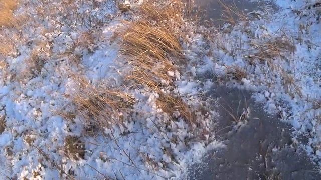 ЗАЯЦ В ЭТОМ ГОДУ ХИТРЕЕ!!! ОХОТА НА ЗАЙЦА 2022 смотреть онлайн