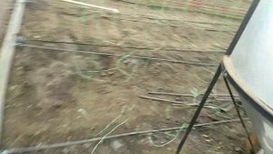 пеллетные печи