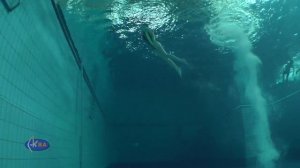 Прыжки в воду   Jumping into the pool