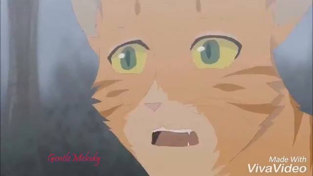 Коты Воители Крутобок и Серебрянка