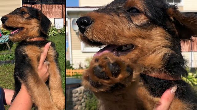 16 августа 2021 г. смотреть онлайн