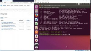 Setting up Ubuntu and Nginx on Digital Ocean