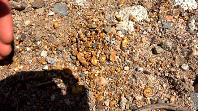 Find Lost Treasure and Gold Nuggets (Gold-Rich Rivers) смотреть онлайн