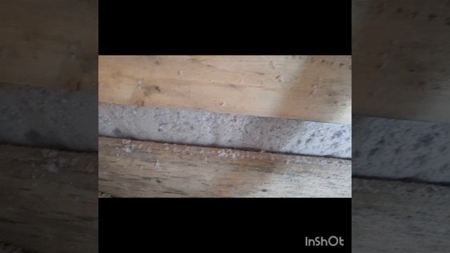 Прихожка за два дня , каркасник утепленный эковатой смотреть онлайн