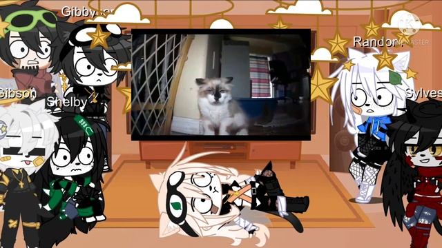 Talking Kitty Cat Reacts To Their Own Videos (Part 2) *You Ask For It* смотреть онлайн