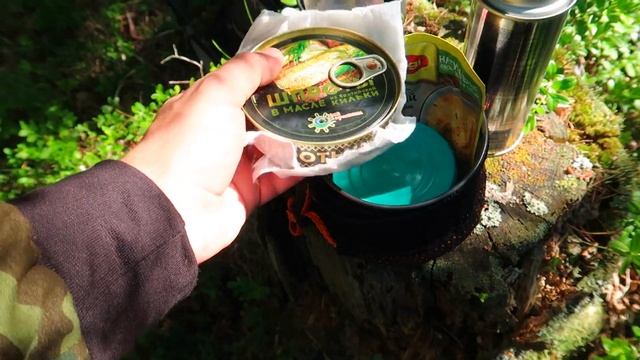 Одиночный поход,поход в лес летом,3 дня в лесу.