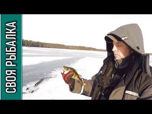 Рыбалка по окуню на озере в Талдомском районе