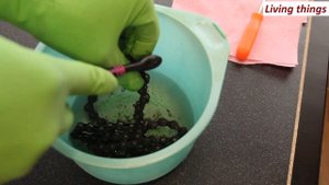 Как быстро очистить велосипедную цепь или димексид !!!