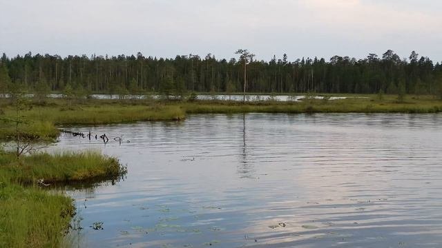 Волома