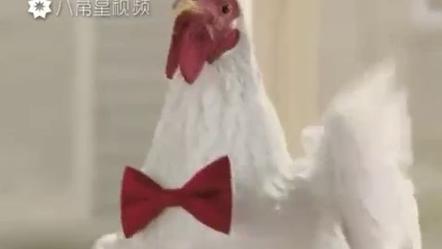 МУЛЬТИК песня кур на счастье! смотреть онлайн