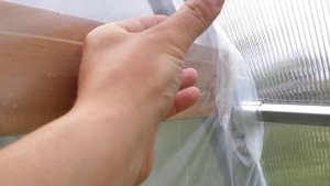 Перегородка в теплице. Как вырастить огурцы и помидоры в одной теплице.