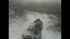Мотособака с двигателем от скутера 50см3 в деле.