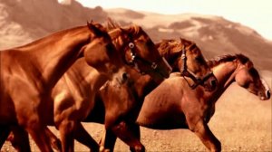 Azerbaijan land of fire/Азербайджан страна огней