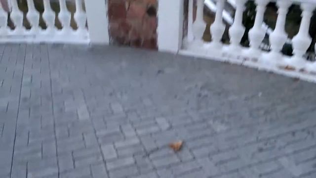 Тест камеры Xiaomi Redmi 3s смотреть онлайн