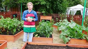Основные работы в саду в сентябре ? Уход за плодовыми деревьями кустарниками цветами -Хитсад ТВ