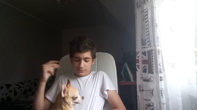 моя собака (большой разбор) #моясобака #собака #моя