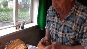 Ольховый нарост и манипуляции с ним