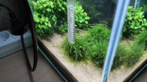 Обзор. #Креветочник 10 литров.