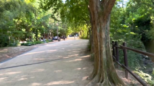 Gosangol Dinosaur Park ! смотреть онлайн