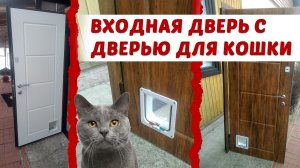 Входная дверь с дверью для кошки в дом