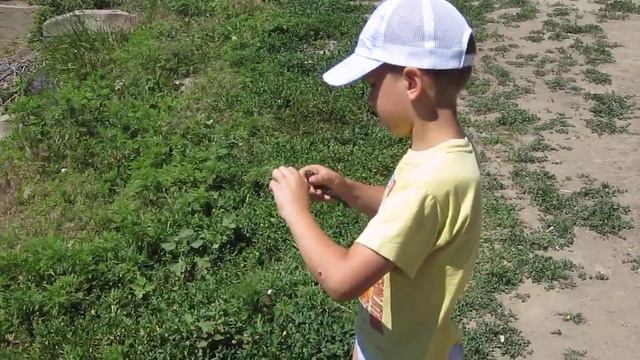 Дашкины пруды ловля карасиков ребёнком смотреть онлайн