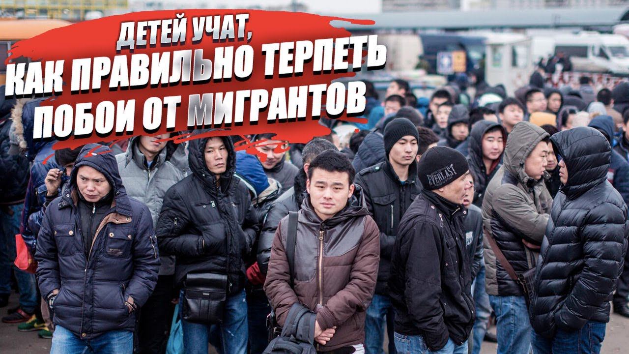 Миграционная политика цветёт и пахнет: детей стали учить, что побои мигрантов надо терпеть молча