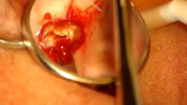 MOV01050.MPG смотреть онлайн