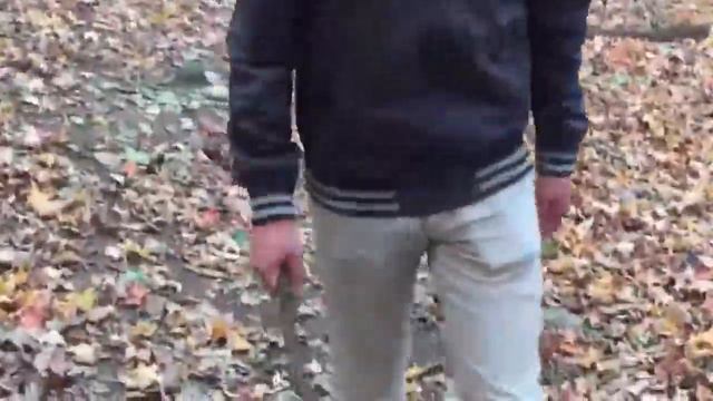 AP Lit- Sonnet 50 (Color version) смотреть онлайн