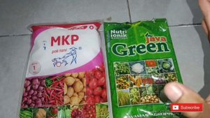 Mengulas pencampuran pupuk mkp dan pupuk nutrisi ionik java green