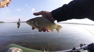 Весело ловим карасей на пенопласт в Беловском водохранилище