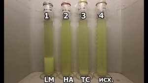 КАКОЙ АНТИГЕЛЬ ЛУЧШЕ для ЗИМНЕГО ДИЗЕЛЯ? Работают Ли присадки После Расслоения Топлива?