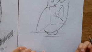 Как нарисовать сову Гарри Поттера Букля | Hedwig